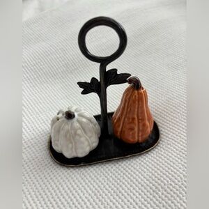 Rare pottery Barn Pumpkin & Gourd Salt and Pepper Shakers